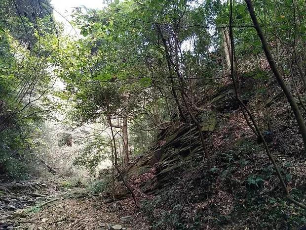 《艾尔登法环》老头环初代王葛孚雷位置介绍